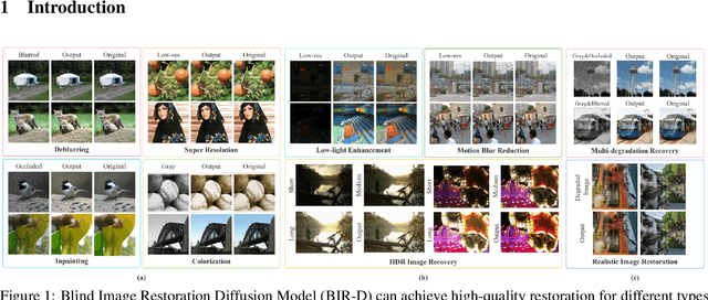 Figure 1 for Taming Generative Diffusion for Universal Blind Image Restoration