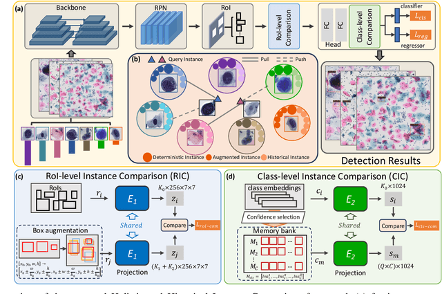 Figure 2 for Holistic and Historical Instance Comparison for Cervical Cell Detection