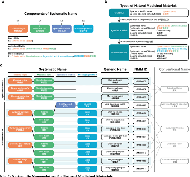 Figure 2 for AI-driven platform for systematic nomenclature and intelligent knowledge acquisition of natural medicinal materials