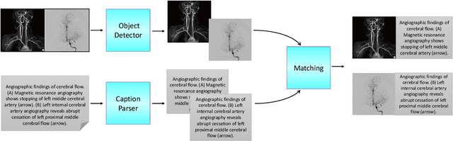 Figure 1 for Medical Vision-Language Pre-Training for Brain Abnormalities