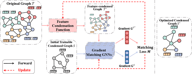 Figure 2 for TinyGraph: Joint Feature and Node Condensation for Graph Neural Networks
