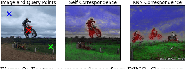 Figure 3 for Unsupervised Semantic Segmentation by Distilling Feature Correspondences