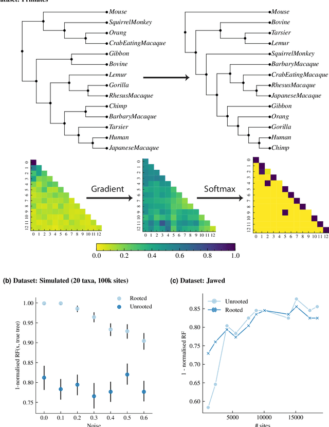 Figure 3 for Leaping through tree space: continuous phylogenetic inference for rooted and unrooted trees