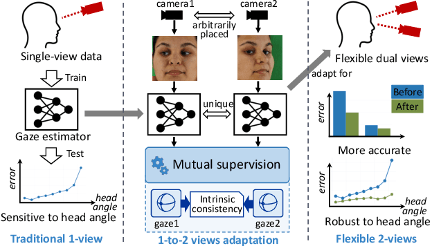 Figure 1 for UVAGaze: Unsupervised 1-to-2 Views Adaptation for Gaze Estimation