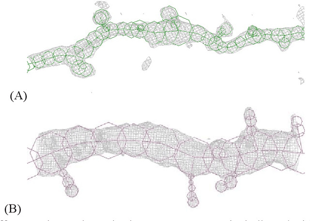 Figure 3 for Murine AI excels at cats and cheese: Structural differences between human and mouse neurons and their implementation in generative AIs