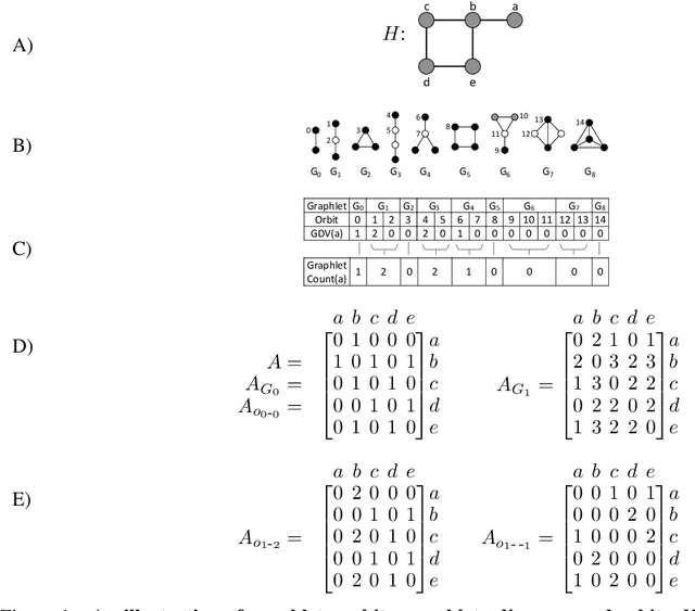 Figure 1 for Graphlets correct for the topological information missed by random walks