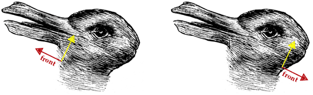 Figure 3 for Hierarchical Object-Centric Learning with Capsule Networks