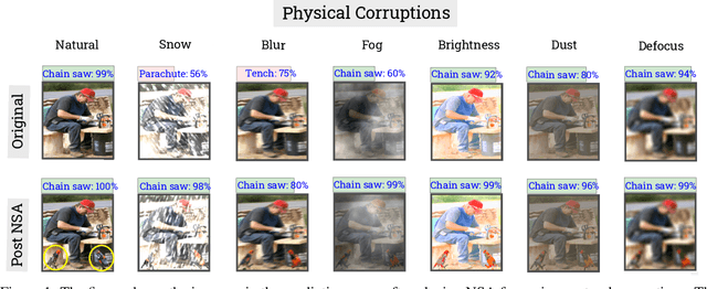 Figure 1 for NSA: Naturalistic Support Artifact to Boost Network Confidence