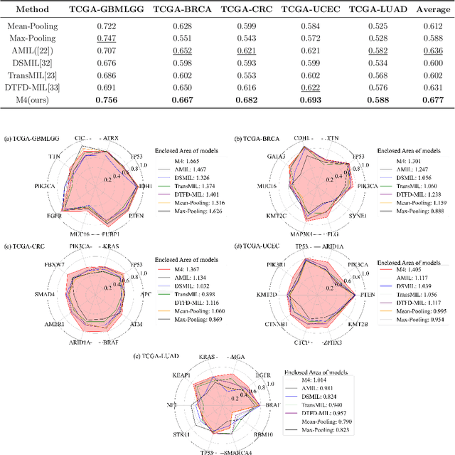 Figure 4 for M4: Multi-Proxy Multi-Gate Mixture of Experts Network for Multiple Instance Learning in Histopathology Image Analysis