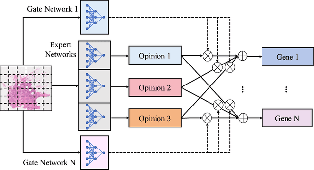 Figure 1 for M4: Multi-Proxy Multi-Gate Mixture of Experts Network for Multiple Instance Learning in Histopathology Image Analysis