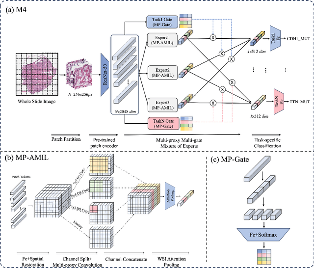 Figure 3 for M4: Multi-Proxy Multi-Gate Mixture of Experts Network for Multiple Instance Learning in Histopathology Image Analysis