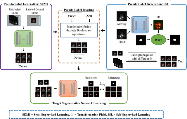 Figure 2 for Collaborative Learning for Annotation-Efficient Volumetric MR Image Segmentation