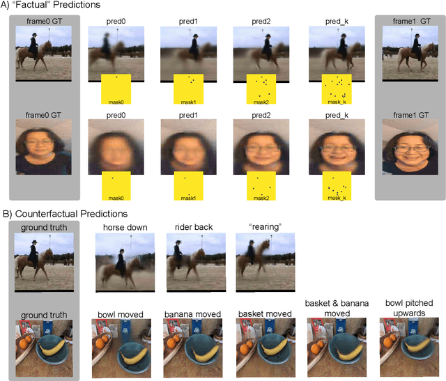 Figure 3 for Unifying (Machine) Vision via Counterfactual World Modeling