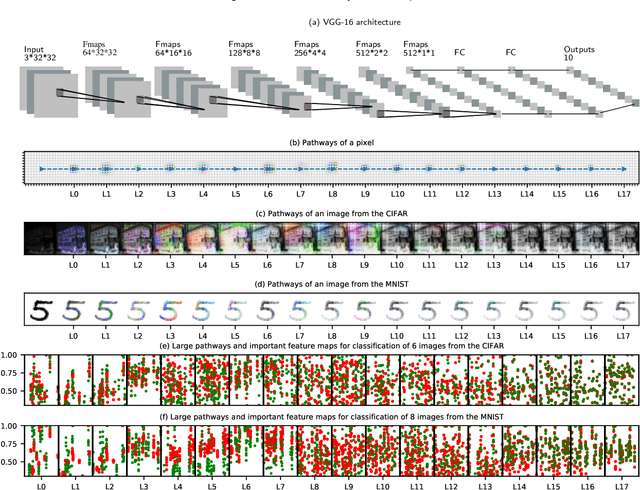 Figure 1 for Understanding the Role of Pathways in a Deep Neural Network