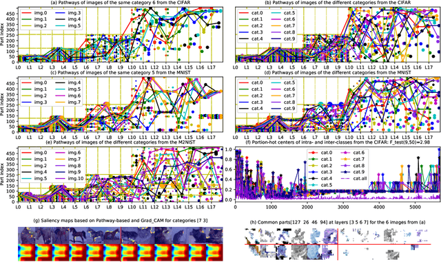 Figure 4 for Understanding the Role of Pathways in a Deep Neural Network