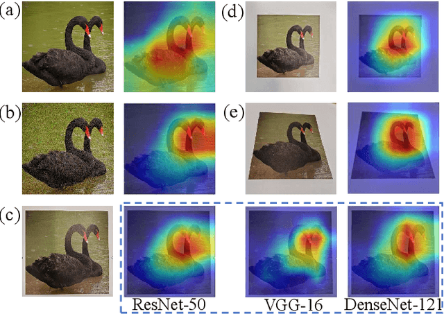 Figure 3 for Breaking Barriers in Physical-World Adversarial Examples: Improving Robustness and Transferability via Robust Feature