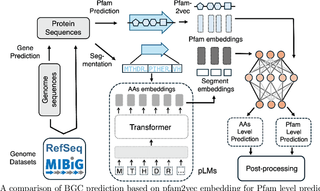 Figure 4 for Recent advances in deep learning and language models for studying the microbiome