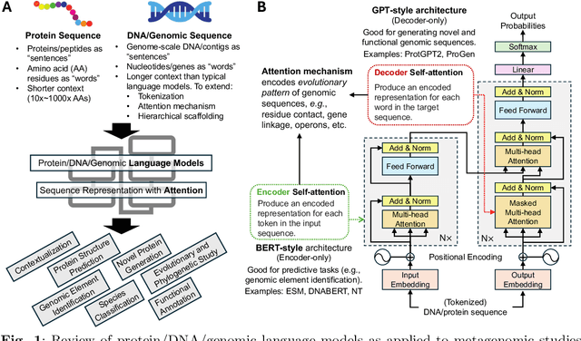 Figure 1 for Recent advances in deep learning and language models for studying the microbiome