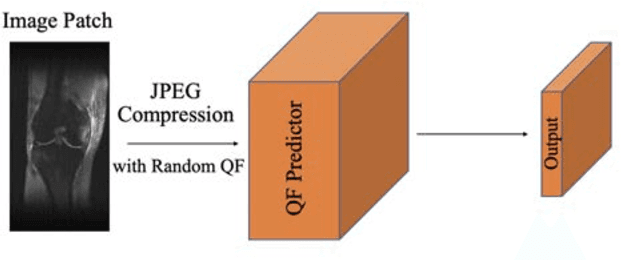 Figure 4 for Reference-Free Image Quality Metric for Degradation and Reconstruction Artifacts