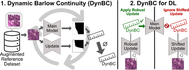 Figure 3 for Federated-Continual Dynamic Segmentation of Histopathology guided by Barlow Continuity