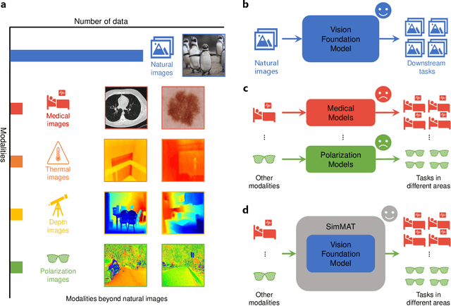 Figure 1 for SimMAT: Exploring Transferability from Vision Foundation Models to Any Image Modality