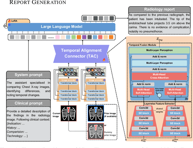 Figure 1 for Libra: Leveraging Temporal Images for Biomedical Radiology Analysis