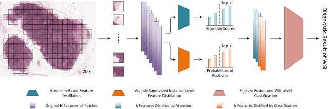 Figure 1 for Distilling High Diagnostic Value Patches for Whole Slide Image Classification Using Attention Mechanism