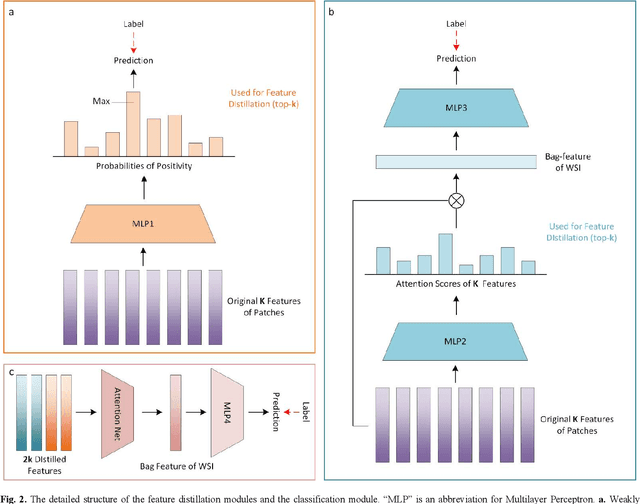 Figure 3 for Distilling High Diagnostic Value Patches for Whole Slide Image Classification Using Attention Mechanism