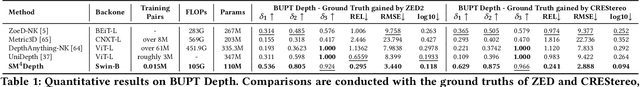 Figure 1 for SM4Depth: Seamless Monocular Metric Depth Estimation across Multiple Cameras and Scenes by One Model