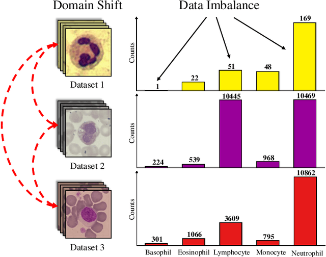 Figure 1 for Stain-aware Domain Alignment for Imbalance Blood Cell Classification