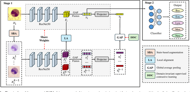 Figure 2 for Stain-aware Domain Alignment for Imbalance Blood Cell Classification