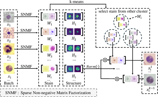 Figure 3 for Stain-aware Domain Alignment for Imbalance Blood Cell Classification