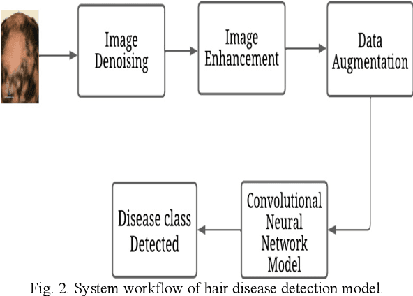 Figure 1 for Hair and Scalp Disease Detection using Machine Learning and Image Processing