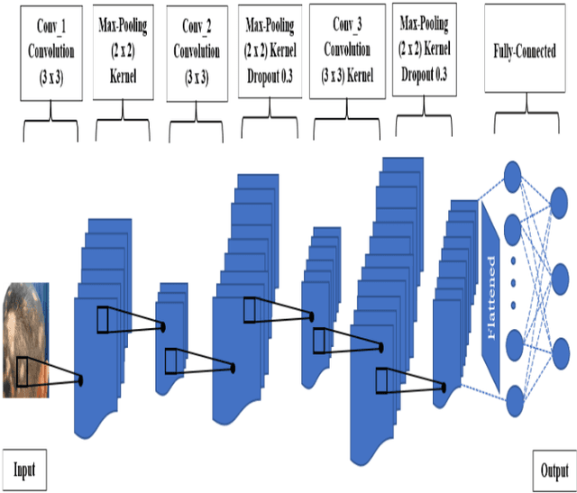 Figure 4 for Hair and Scalp Disease Detection using Machine Learning and Image Processing
