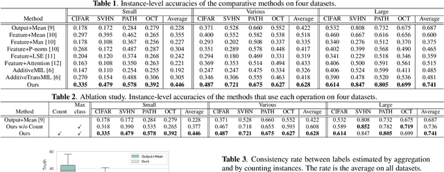 Figure 3 for Counting Network for Learning from Majority Label