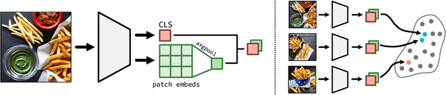 Figure 2 for When Does Perceptual Alignment Benefit Vision Representations?