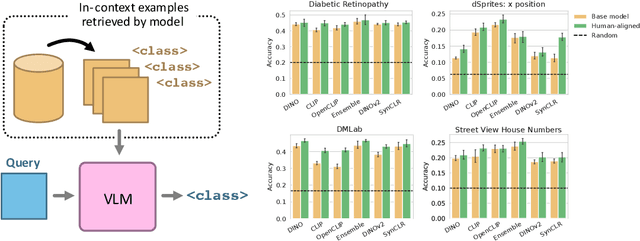 Figure 4 for When Does Perceptual Alignment Benefit Vision Representations?