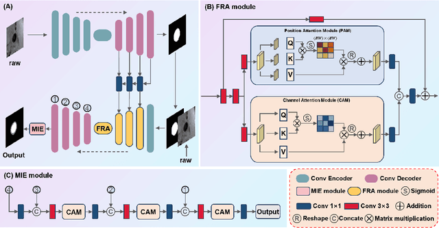 Figure 2 for GAPNet: Granularity Attention Network with Anatomy-Prior-Constraint for Carotid Artery Segmentation