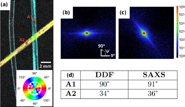 Figure 3 for Dark-field and directional dark-field on low coherence X-ray sources with random mask modulations: validation with SAXS anisotropy measurements