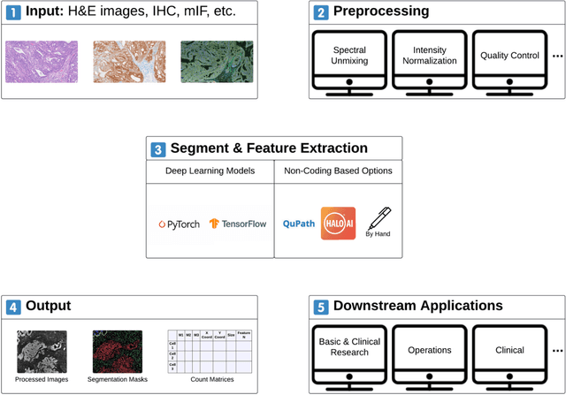 Figure 4 for Multiplex Imaging Analysis in Pathology: a Comprehensive Review on Analytical Approaches and Digital Toolkits