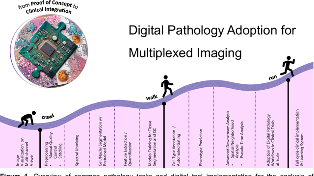 Figure 1 for Multiplex Imaging Analysis in Pathology: a Comprehensive Review on Analytical Approaches and Digital Toolkits