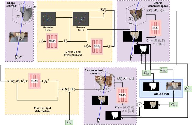 Figure 2 for 4DPV: 4D Pet from Videos by Coarse-to-Fine Non-Rigid Radiance Fields