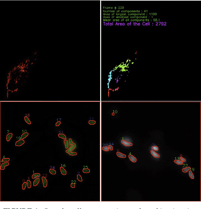 Figure 1 for Object Tracking in a $360^o$ View: A Novel Perspective on Bridging the Gap to Biomedical Advancements