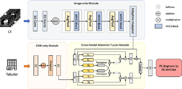 Figure 1 for PE-MVCNet: Multi-view and Cross-modal Fusion Network for Pulmonary Embolism Prediction