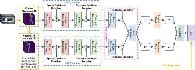 Figure 3 for Learning by Aligning 2D Skeleton Sequences in Time