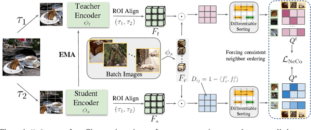 Figure 1 for NeCo: Improving DINOv2's spatial representations in 19 GPU hours with Patch Neighbor Consistency