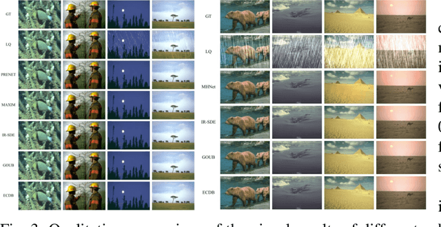 Figure 3 for Enhanced Control for Diffusion Bridge in Image Restoration