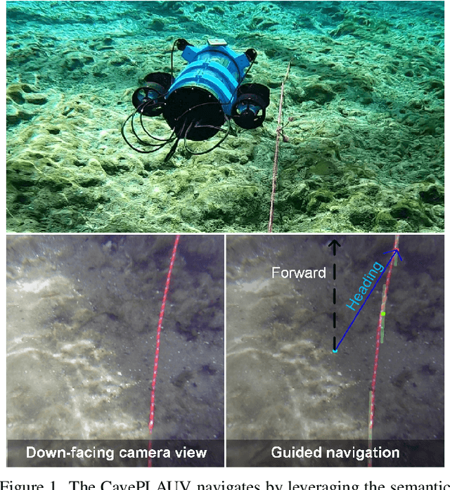 Figure 1 for Demonstrating CavePI: Autonomous Exploration of Underwater Caves by Semantic Guidance