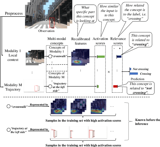 Figure 1 for MulCPred: Learning Multi-modal Concepts for Explainable Pedestrian Action Prediction