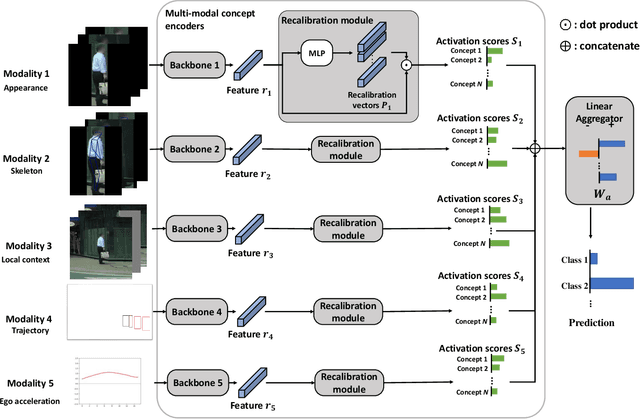 Figure 2 for MulCPred: Learning Multi-modal Concepts for Explainable Pedestrian Action Prediction